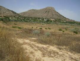 Campo en Aspe pedanias