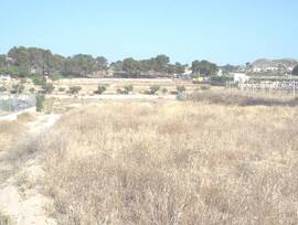 Campo en Aspe pedanias