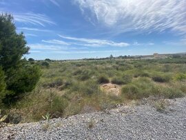 Campo en Elche pedanias