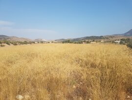 Campo en Hondon de las Nieves