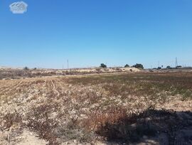 Parcela en Elche pedanias