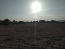 Parcela en Crevillent