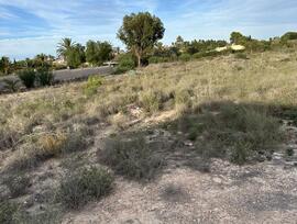 Campo en Valverde (Alicante)