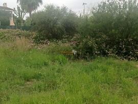 Parcela en Elche pedanias