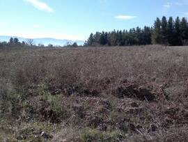Parcela urbana en Barcena del bierzo