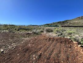 Campo en Ingenio