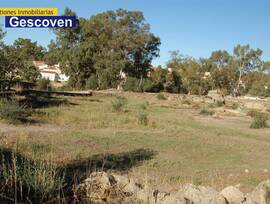 Campo en Valencia de Alcantara