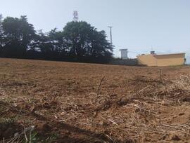 Parcela urbana en El Rosario