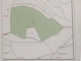 Campo en Monovar - Monover