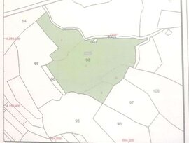 Campo en Monovar - Monover