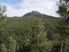 Casa de campo en Moratalla