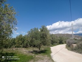 Campo en Gergal
