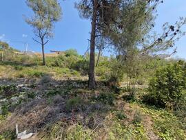 Parcela urbana en Olivella