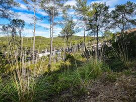 Parcela urbana en Olivella
