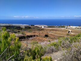 Campo en Guia de Isora