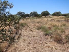 Parcela en Badajoz