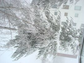 Piso en A Pobra de Trives