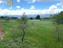 Parcela en Ontinyent