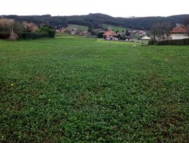 Parcela urbana en Ajo