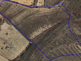 Campo en Monovar - Monover