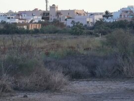 Campo en Cabo de gata