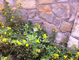 Garaje en Puerto de Sagunto