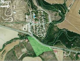 Campo en Riezu
