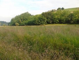 Campo en Santa Maria de Cayon