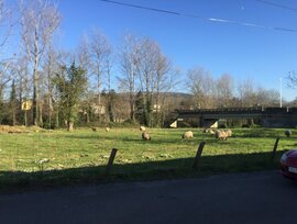 Parcela urbana en Santa Maria de Cayon