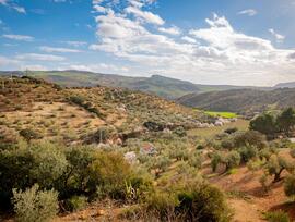Casa de campo en Antequera
