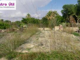 Campo en Elche pedanias