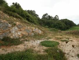 Parcela urbana en Ruiloba