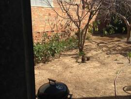 Parcela urbana en Sant Pere de Ribes