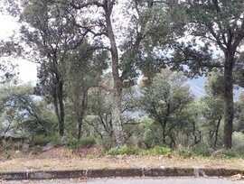 Parcela urbana edificable en Riells i Viabrea