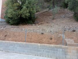 Campo en Esparreguera