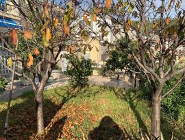 Casa en Castelldefels