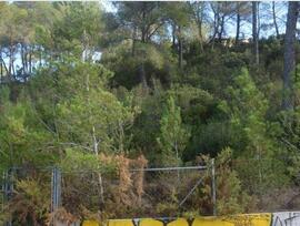 Parcela en Corbera de Llobregat