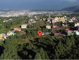 Campo en La Orotava