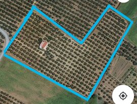 Casa de campo en Gibraleón