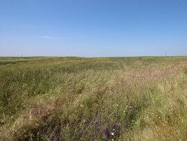 Campo en Esparragalejo