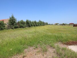 Campo en Esparragalejo