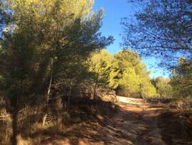 Parcela urbana en Polop