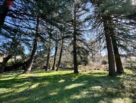 Parcela urbana en Cercedilla