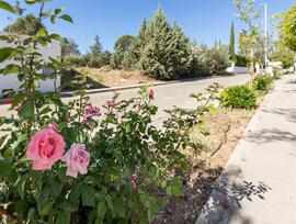 Parcela urbana edificable en Albolote