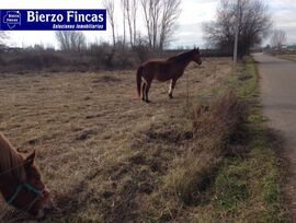 Parcela en Camponaraya