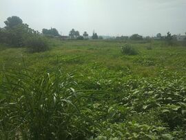 Parcela en Molina de Segura