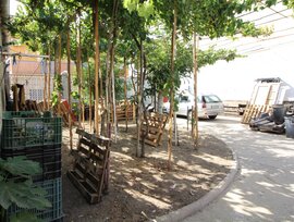 Parcela en Jerez de la Frontera