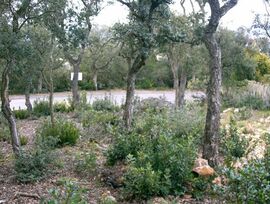 Parcela en Platja d'Aro