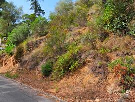 Parcela urbana en Santa Cristina d'Aro