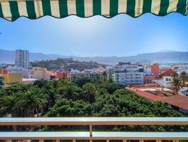 Estudio en Puerto de La Cruz